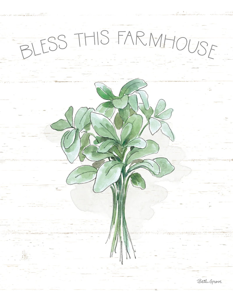 Farmhouse Cotton VI Sage by Beth Grove