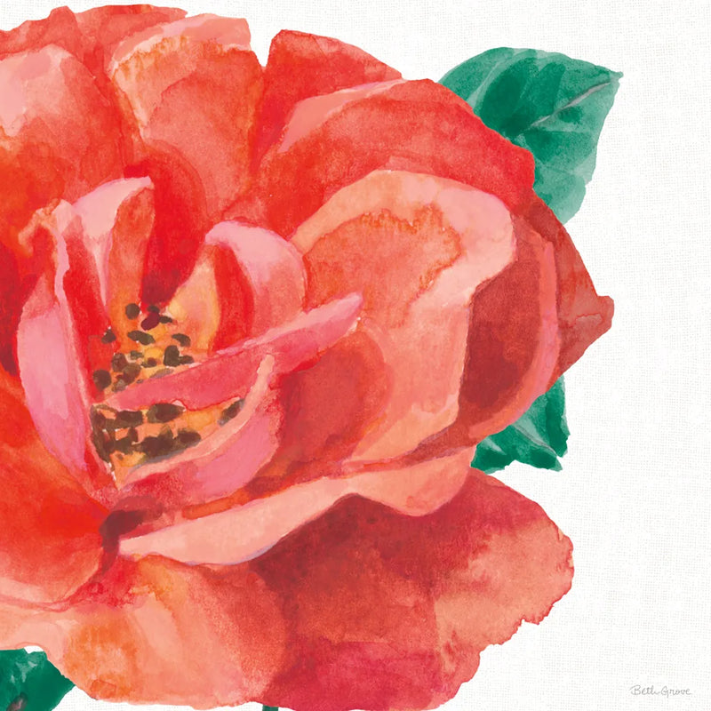 Floral Drama X by Beth Grove. SKU 80335a. Archival Giclee Fine art print for wall decor.