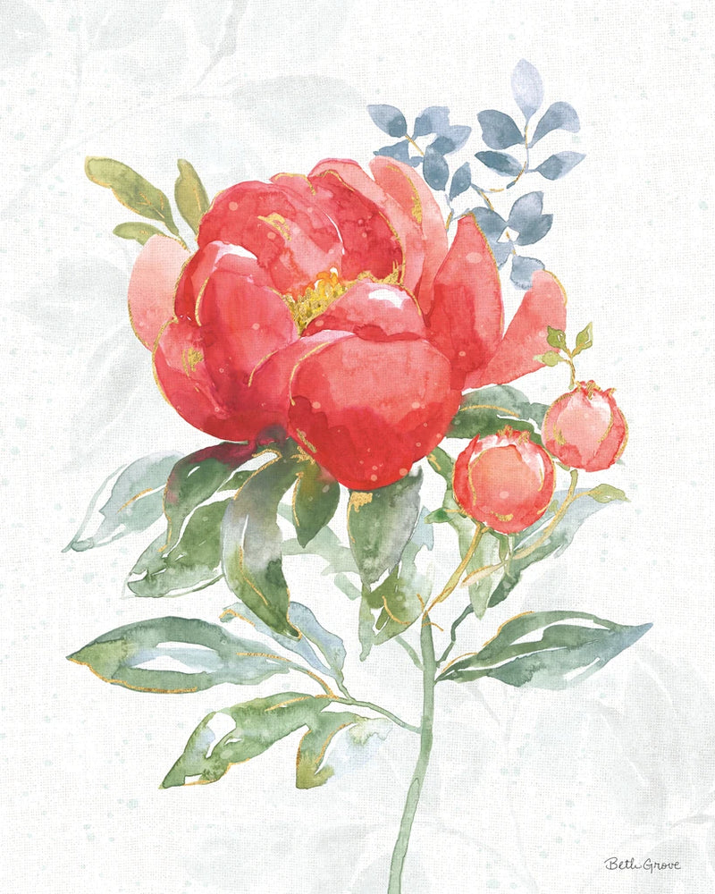 Floral Focus VII by Beth Grove