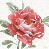 Floral Solitude XII by Beth Grove. SKU 67788a. Archival Giclee Fine art print for wall decor.