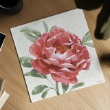 Floral Solitude XII by Beth Grove. Shown as a detailed flat fine art print, highlighting archival giclee quality. Available as an archival giclee rolled canvas, fine art paper, or poster print. SKU 67788a.