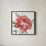 Floral Solitude XII by Beth Grove. Shown in a sleek black glass frame for a contemporary gallery look. Available as an archival giclee rolled canvas, fine art paper, or poster print. SKU 67788a.