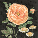 Flower Show II by Beth Grove. SKU 87007a. Archival Giclee Fine art print for wall decor.