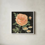 Flower Show II by Beth Grove. Shown in a crisp white glass frame for a clean and minimalist style. Available as an archival giclee rolled canvas, fine art paper, or poster print. SKU 87007a.