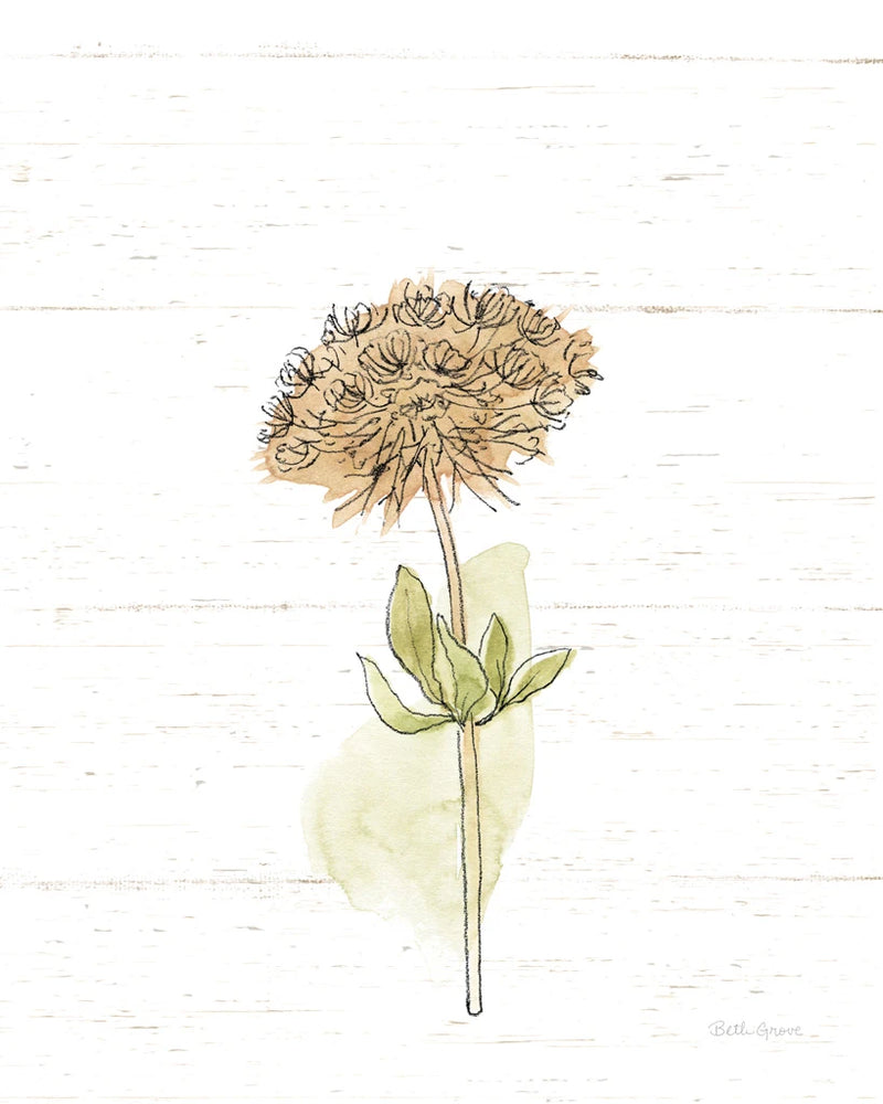 Flowers in Autumn by Beth Grove