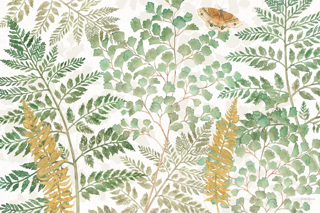 Forest Finds I by Beth Grove. SKU 83147i. Archival Giclee Fine art print for wall decor.