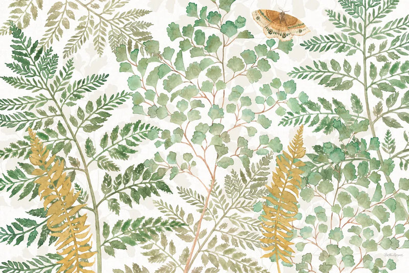 Forest Finds I by Beth Grove. SKU 83147i. Archival Giclee Fine art print for wall decor.