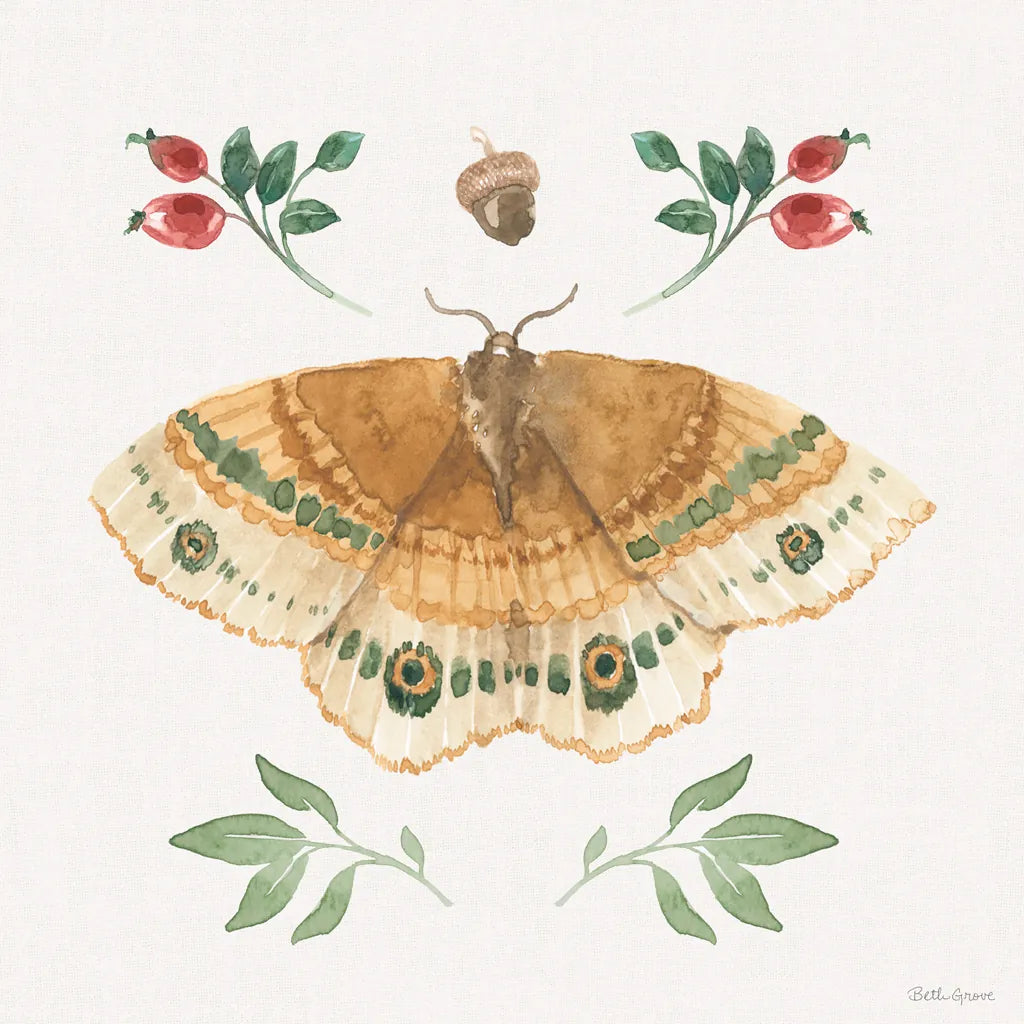 Forest Finds II by Beth Grove. SKU 90826a. Archival Giclee Fine art print for wall decor.