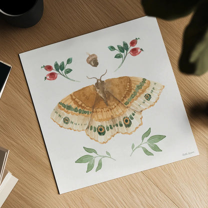 Forest Finds II by Beth Grove. Shown as a detailed flat fine art print, highlighting archival giclee quality. Available as an archival giclee rolled canvas, fine art paper, or poster print. SKU 90826a.