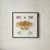Forest Finds II by Beth Grove. Shown in a sleek black glass frame for a contemporary gallery look. Available as an archival giclee rolled canvas, fine art paper, or poster print. SKU 90826a.