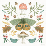 Forest Finds III by Beth Grove. SKU 83149a. Archival Giclee Fine art print for wall decor.
