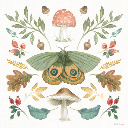 Forest Finds III by Beth Grove. SKU 83149a. Archival Giclee Fine art print for wall decor.