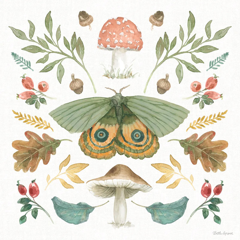 Forest Finds III by Beth Grove. SKU 83149a. Archival Giclee Fine art print for wall decor.