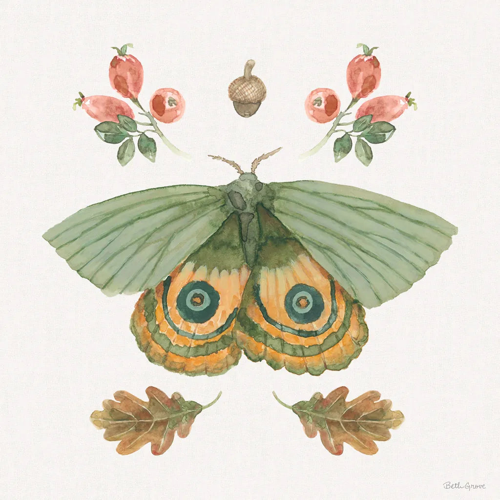 Forest Finds III by Beth Grove. SKU 90827a. Archival Giclee Fine art print for wall decor.