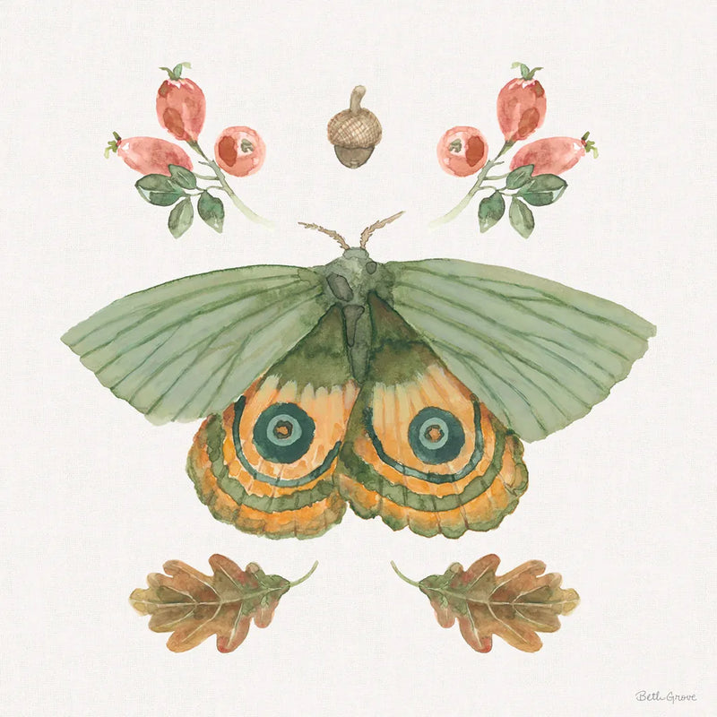 Forest Finds III by Beth Grove. SKU 90827a. Archival Giclee Fine art print for wall decor.