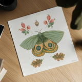 Forest Finds III by Beth Grove. Shown as a detailed flat fine art print, highlighting archival giclee quality. Available as an archival giclee rolled canvas, fine art paper, or poster print. SKU 90827a.