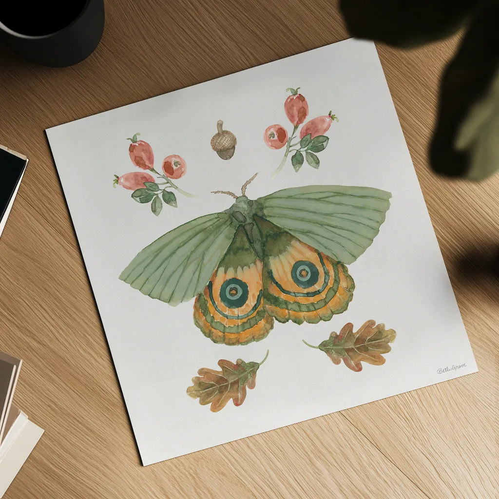 Forest Finds III by Beth Grove. Shown as a detailed flat fine art print, highlighting archival giclee quality. Available as an archival giclee rolled canvas, fine art paper, or poster print. SKU 90827a.