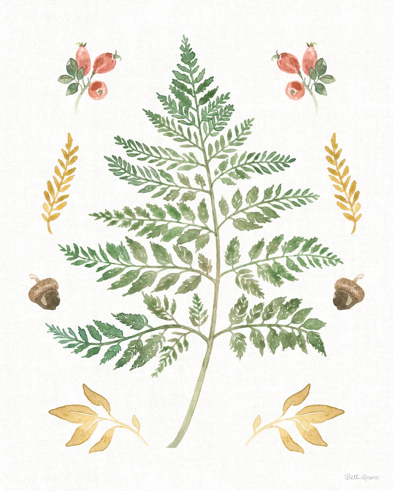 Forest Finds IX by Beth Grove