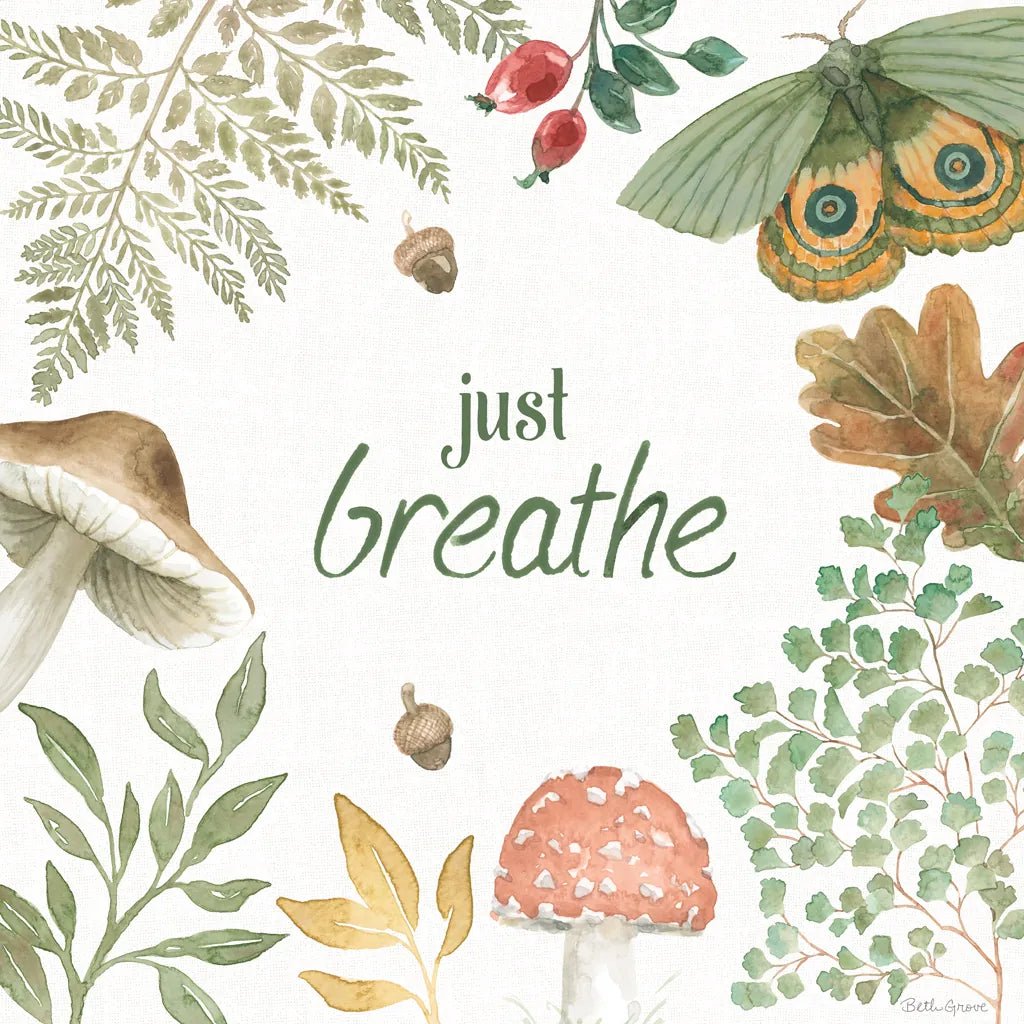 Forest Finds V by Beth Grove. SKU 83151a. Archival Giclee Fine art print for wall decor.