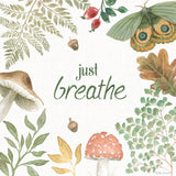 Forest Finds V by Beth Grove. SKU 83151a. Archival Giclee Fine art print for wall decor.