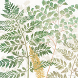 Forest Finds VI by Beth Grove. SKU 83152a. Archival Giclee Fine art print for wall decor.