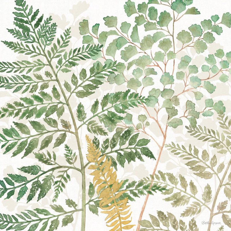 Forest Finds VI by Beth Grove. SKU 83152a. Archival Giclee Fine art print for wall decor.
