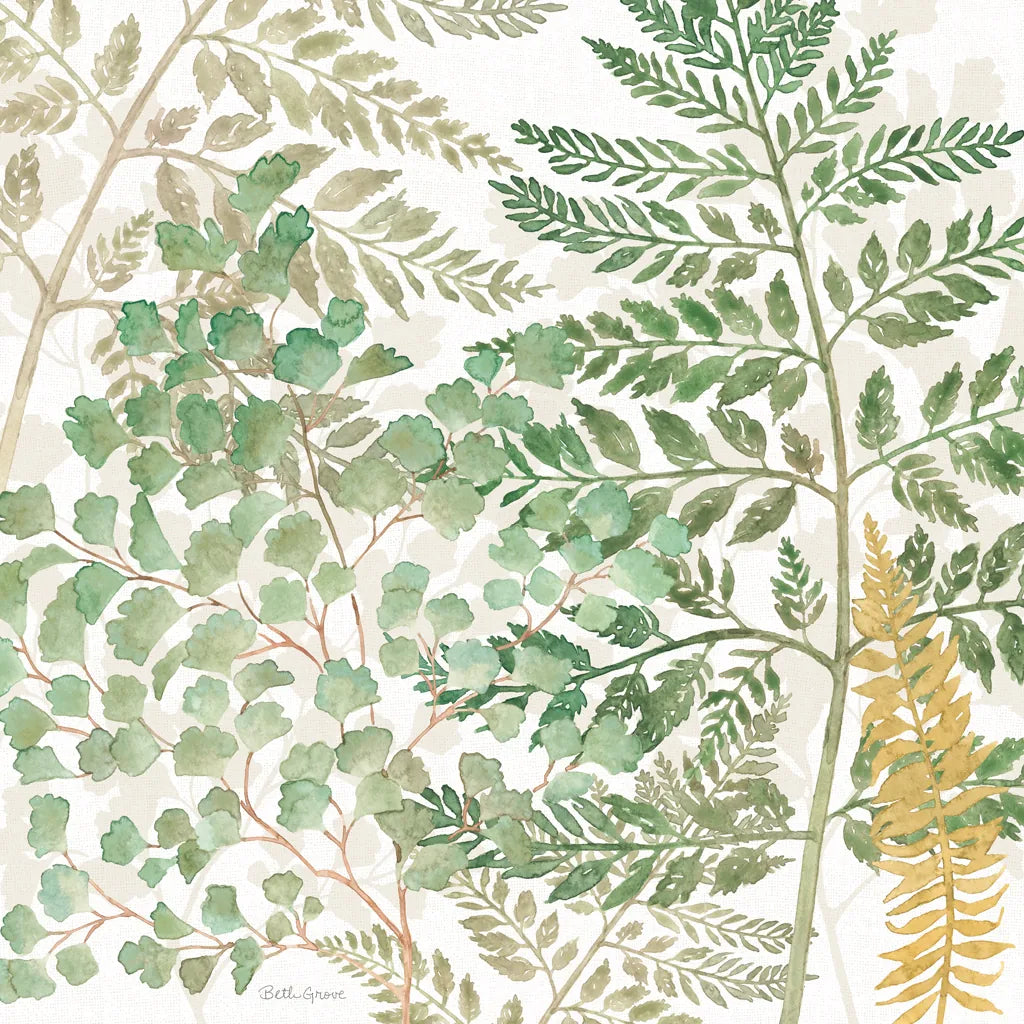 Forest Finds VII by Beth Grove. SKU 83153a. Archival Giclee Fine art print for wall decor.