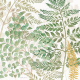Forest Finds VII by Beth Grove. SKU 83153a. Archival Giclee Fine art print for wall decor.