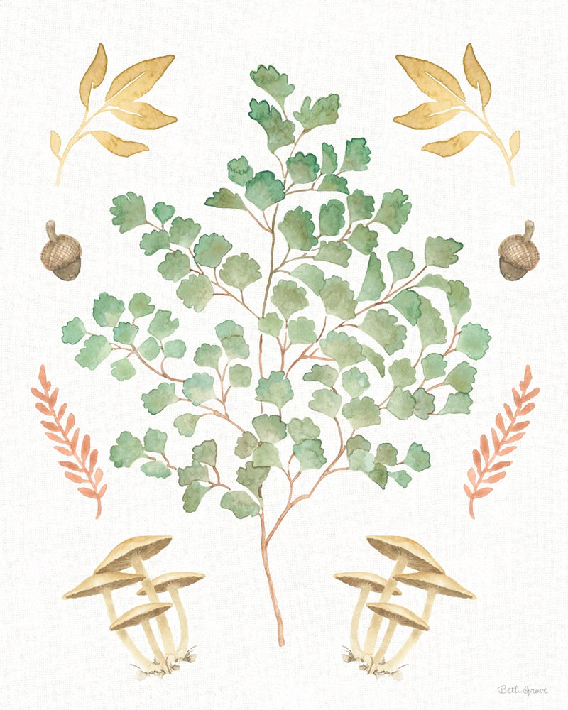 Forest Finds VIII by Beth Grove