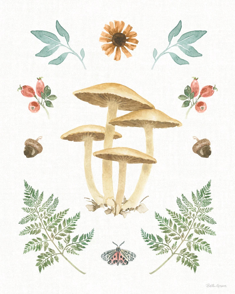 Forest Finds X by Beth Grove