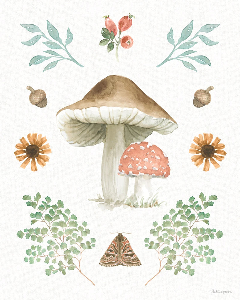Forest Finds XI by Beth Grove