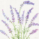 Fresh Floral VI by Beth Grove. SKU 97686a. Archival Giclee Fine art print for wall decor.
