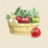 Fresh From The Garden I Cream by Beth Grove. SKU 68116a. Archival Giclee Fine art print for wall decor.
