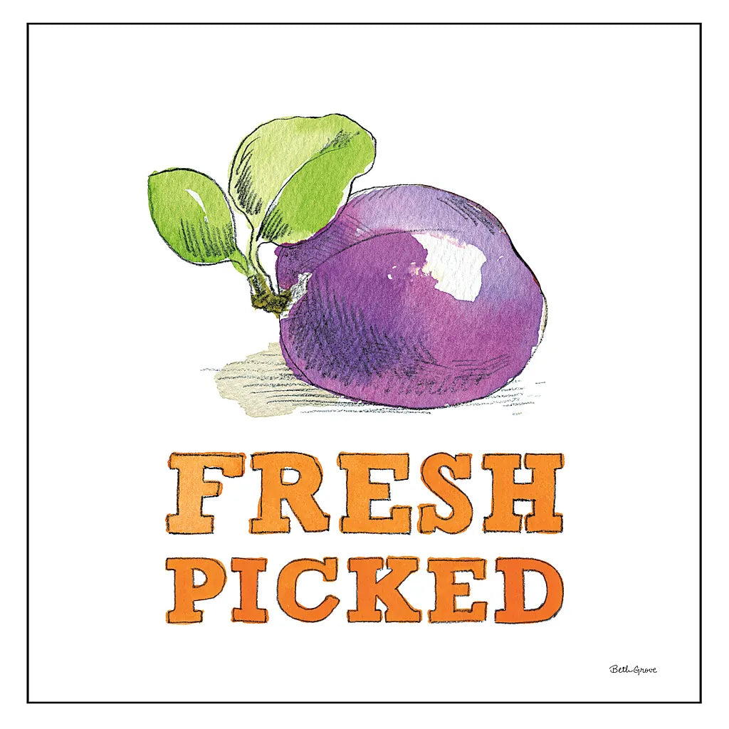 Fresh From the Garden VI No Border Sq by Beth Grove. SKU 32412a. Archival Giclee Fine art print for wall decor.