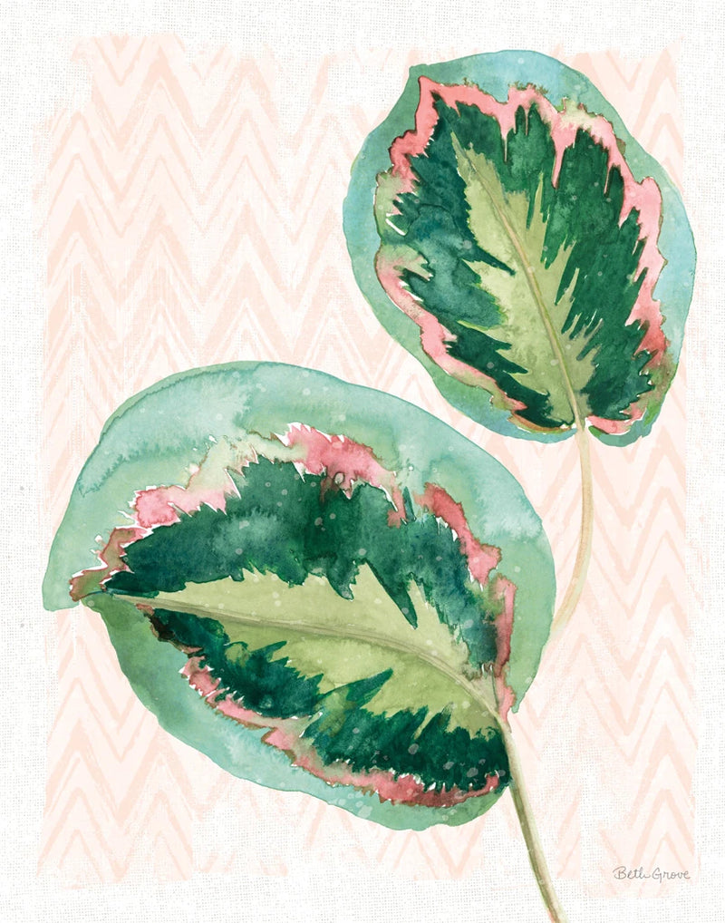 From the Jungle XI Peach NW by Beth Grove