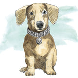 Glamour Pups IX by Beth Grove. SKU 29730a. Archival Giclee Fine art print for wall decor.