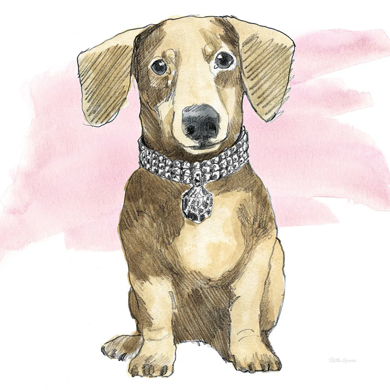 Glamour Pups IX on Pink by Beth Grove. SKU 32045a. Archival Giclee Fine art print for wall decor.
