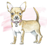 Glamour Pups VII by Beth Grove. SKU 29728a. Archival Giclee Fine art print for wall decor.