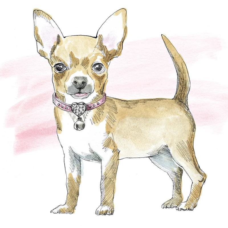 Glamour Pups VII by Beth Grove. SKU 29728a. Archival Giclee Fine art print for wall decor.