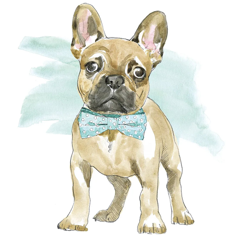 Glamour Pups XI by Beth Grove. SKU 29732a. Archival Giclee Fine art print for wall decor.