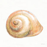 Golden Treasures I on White by Beth Grove. SKU 24029a. Archival Giclee Fine art print for wall decor.