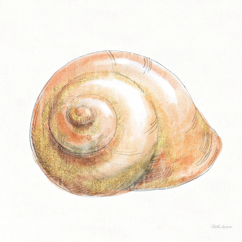 Golden Treasures I on White by Beth Grove. SKU 24029a. Archival Giclee Fine art print for wall decor.