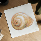 Golden Treasures I on White by Beth Grove. Shown as a detailed flat fine art print, highlighting archival giclee quality. Available as an archival giclee rolled canvas, fine art paper, or poster print. SKU 24029a.