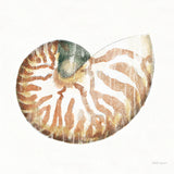 Golden Treasures IV on White by Beth Grove. SKU 24032a. Archival Giclee Fine art print for wall decor.