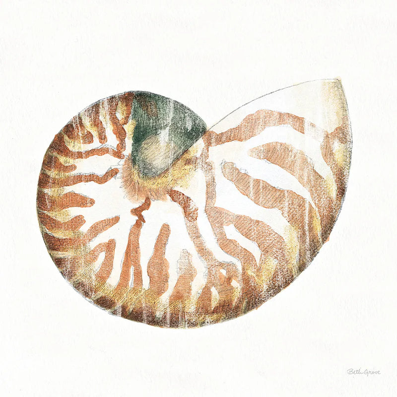 Golden Treasures IV on White by Beth Grove. SKU 24032a. Archival Giclee Fine art print for wall decor.