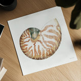 Golden Treasures IV on White by Beth Grove. Shown as a detailed flat fine art print, highlighting archival giclee quality. Available as an archival giclee rolled canvas, fine art paper, or poster print. SKU 24032a.