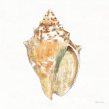 Golden Treasures V on White by Beth Grove. SKU 24033a. Archival Giclee Fine art print for wall decor.