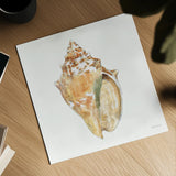 Golden Treasures V on White by Beth Grove. Shown as a detailed flat fine art print, highlighting archival giclee quality. Available as an archival giclee rolled canvas, fine art paper, or poster print. SKU 24033a.