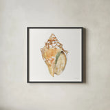 Golden Treasures V on White by Beth Grove. Shown in a sleek black glass frame for a contemporary gallery look. Available as an archival giclee rolled canvas, fine art paper, or poster print. SKU 24033a.