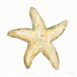 Golden Treasures VI on White by Beth Grove. SKU 24034a. Archival Giclee Fine art print for wall decor.